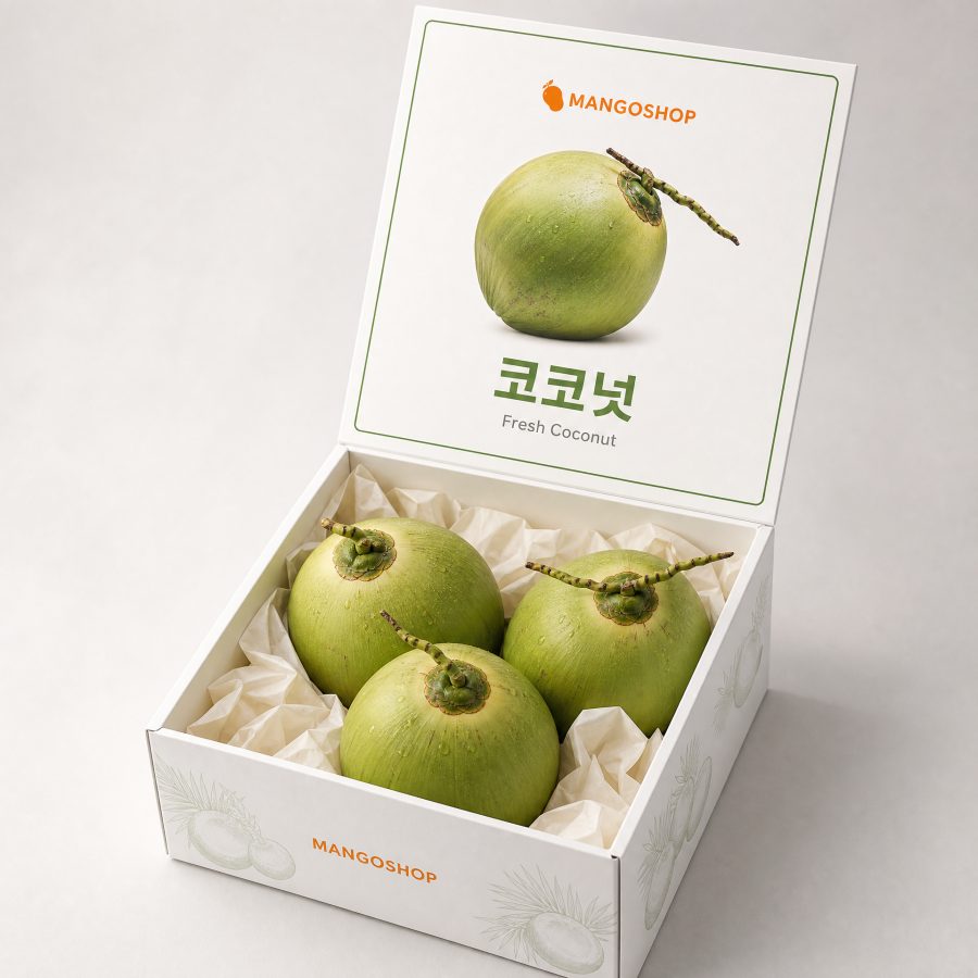 코코넛 선물세트