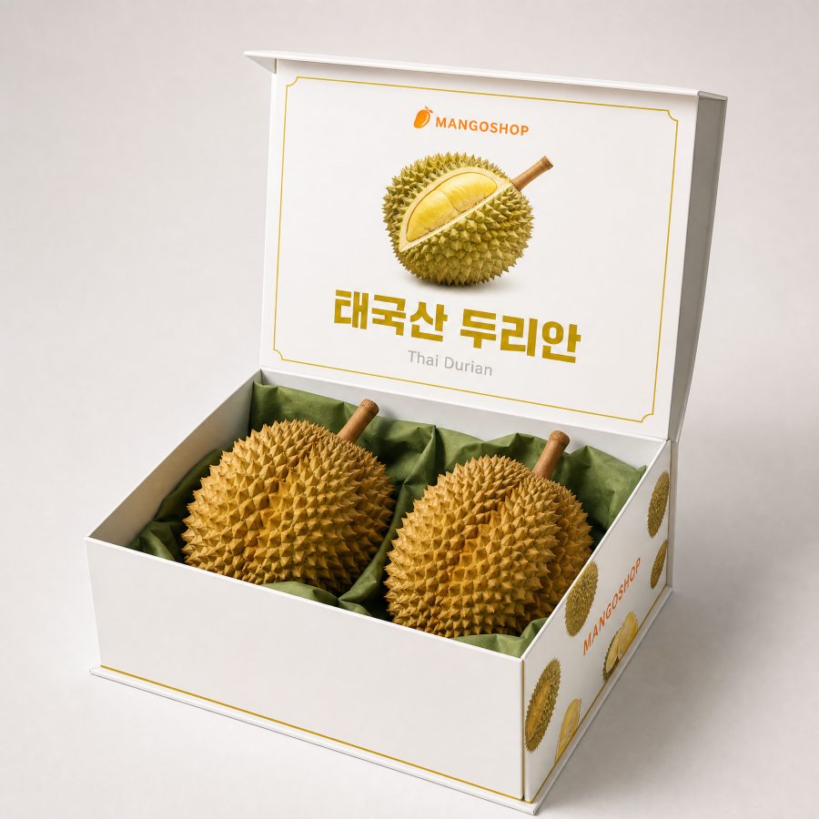 몬통 두리안 선물세트