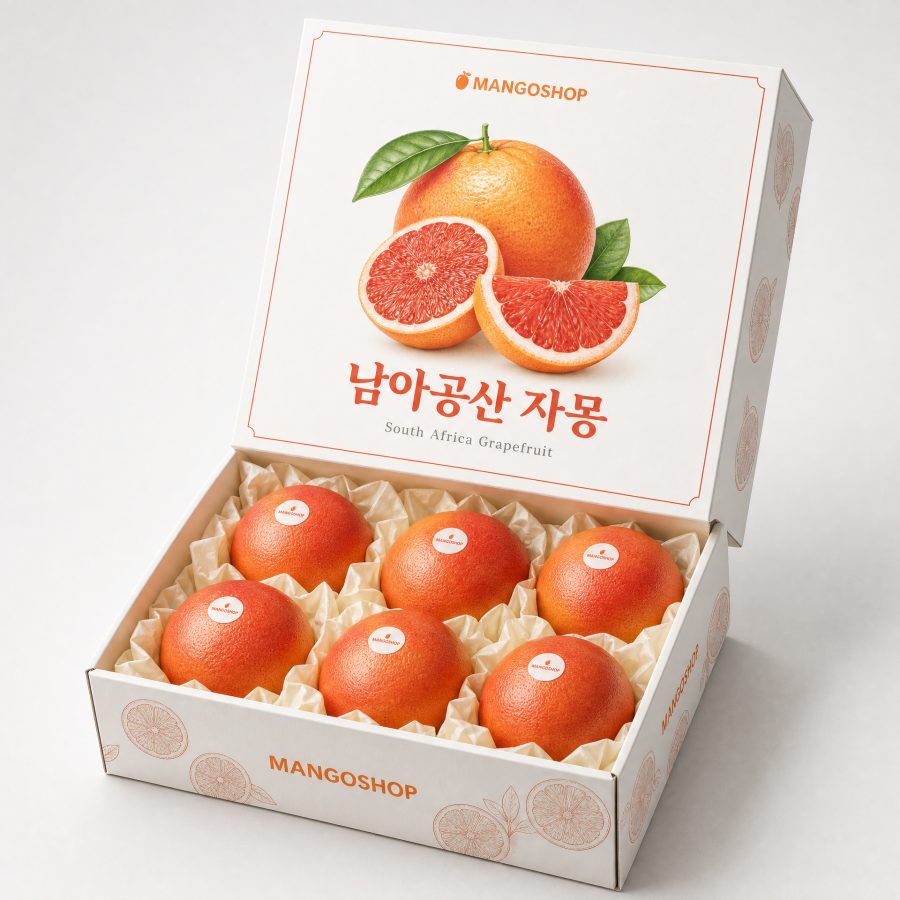 자몽 선물세트
